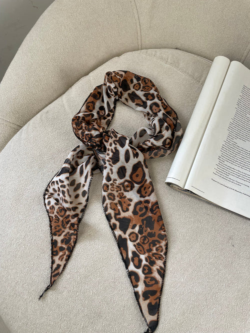 SHALL LEOPARD